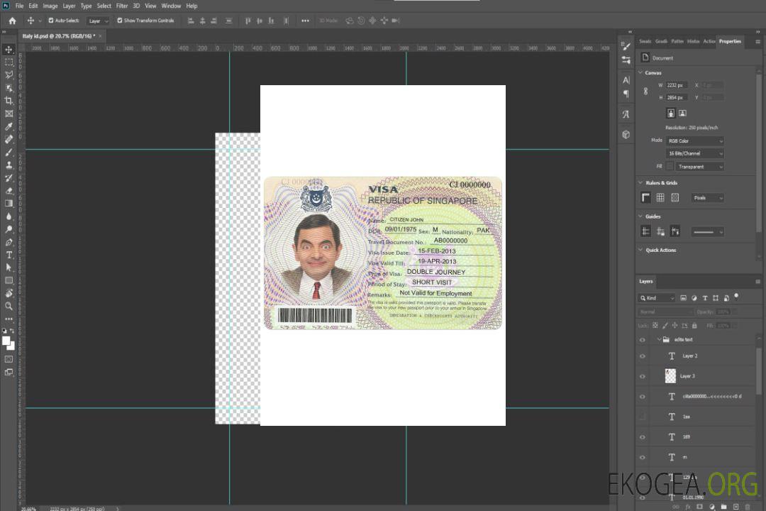 Visa SINGAPOUR template Visa SINGAPOUR template